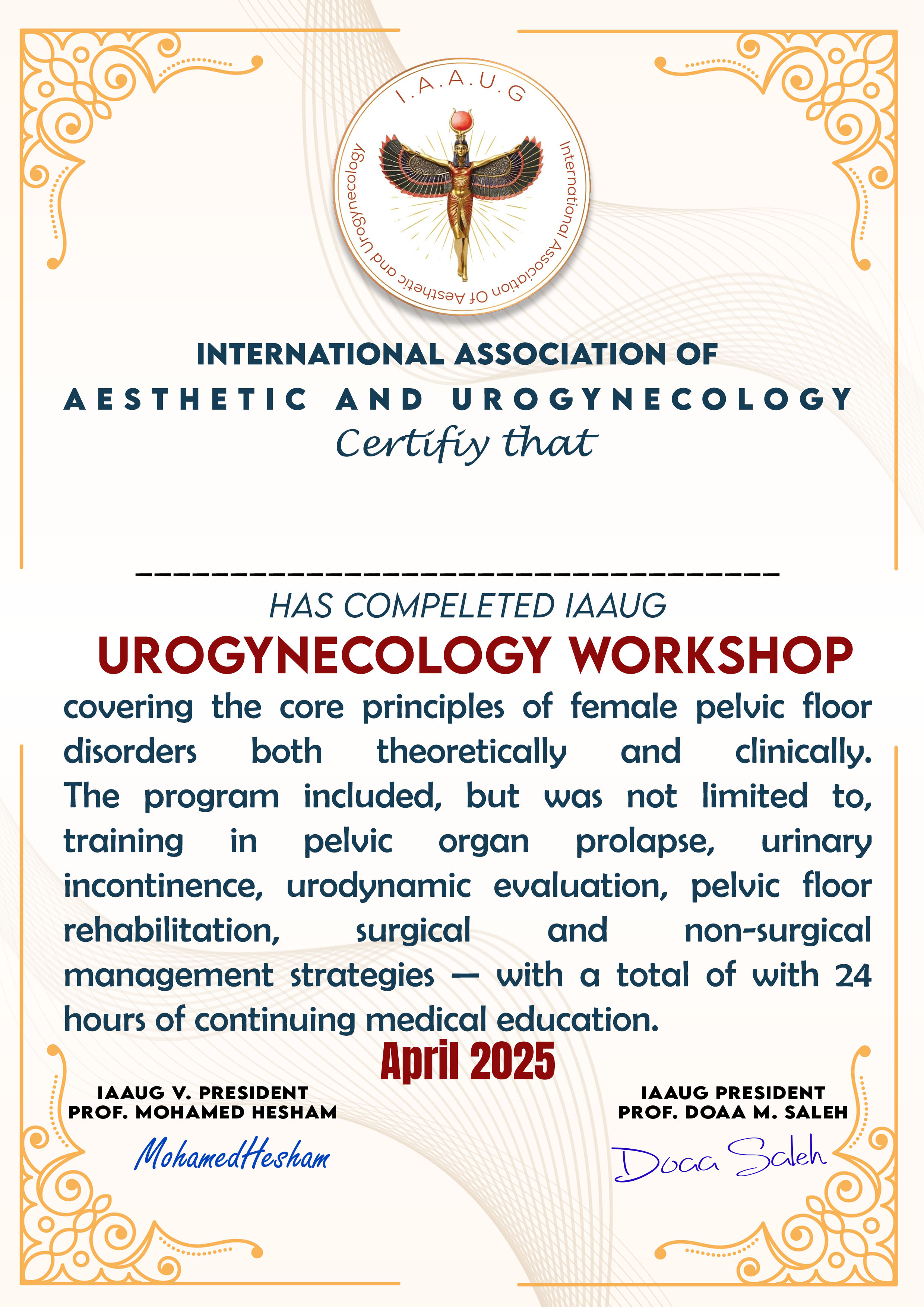 Urogynecology certificate