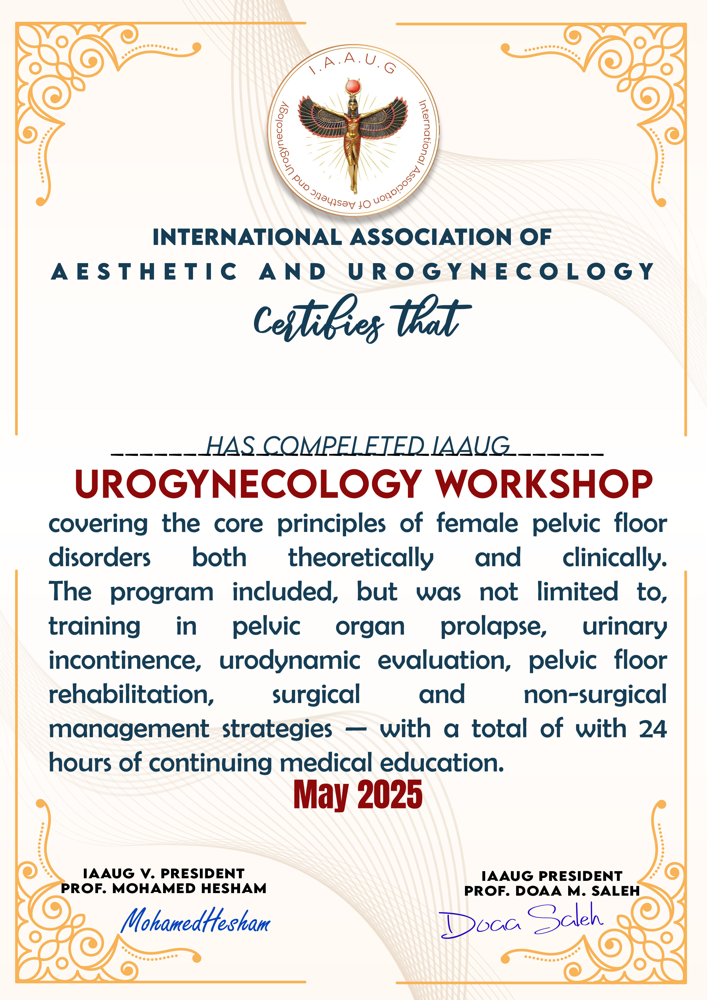 Urogynecology certificate